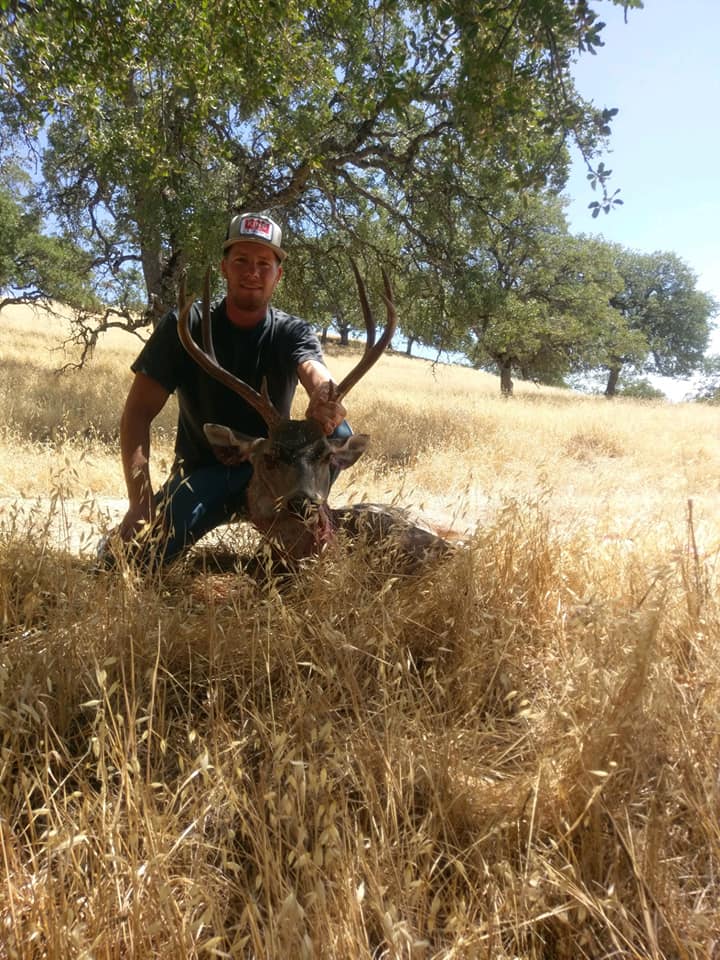 elk hunting california