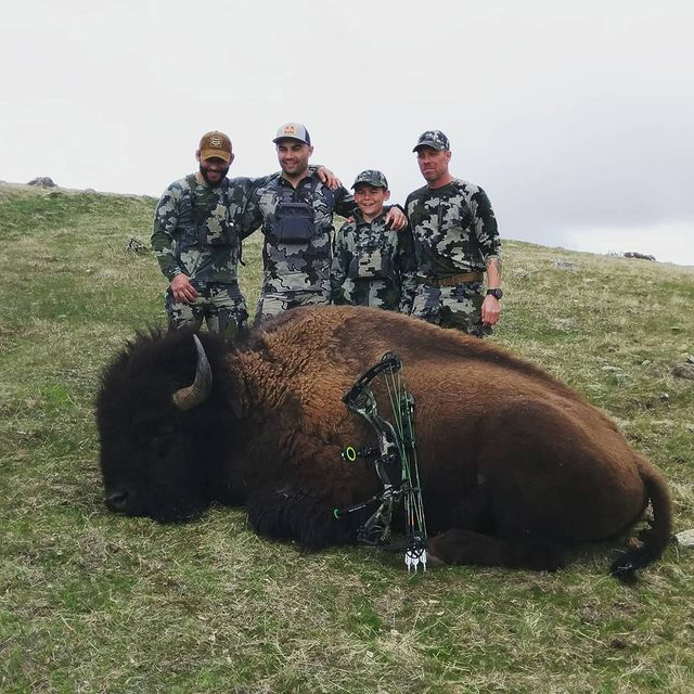 American bison hunting