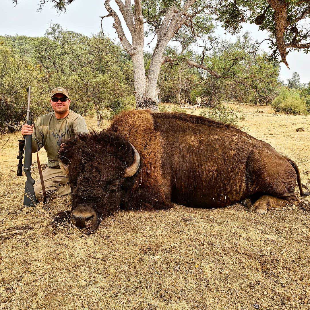 buffalo hunts