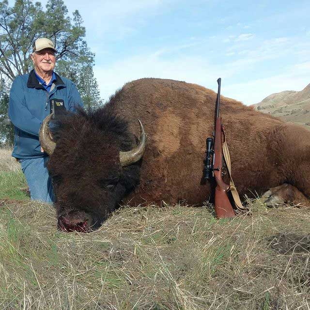 bison hunting services in california
