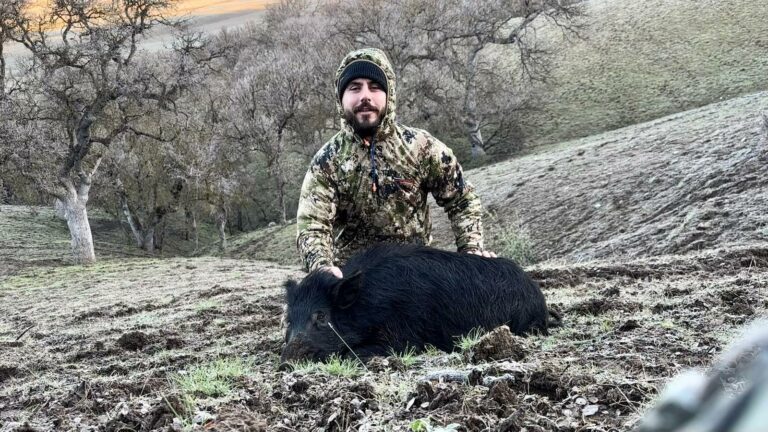 Hog hunting california