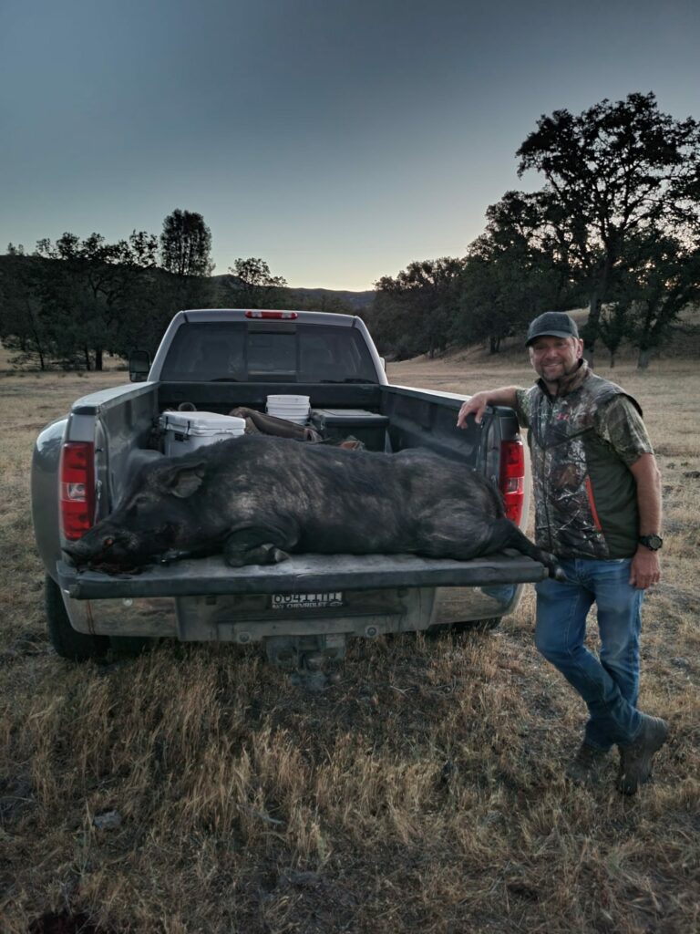 california hog hunting outfitters