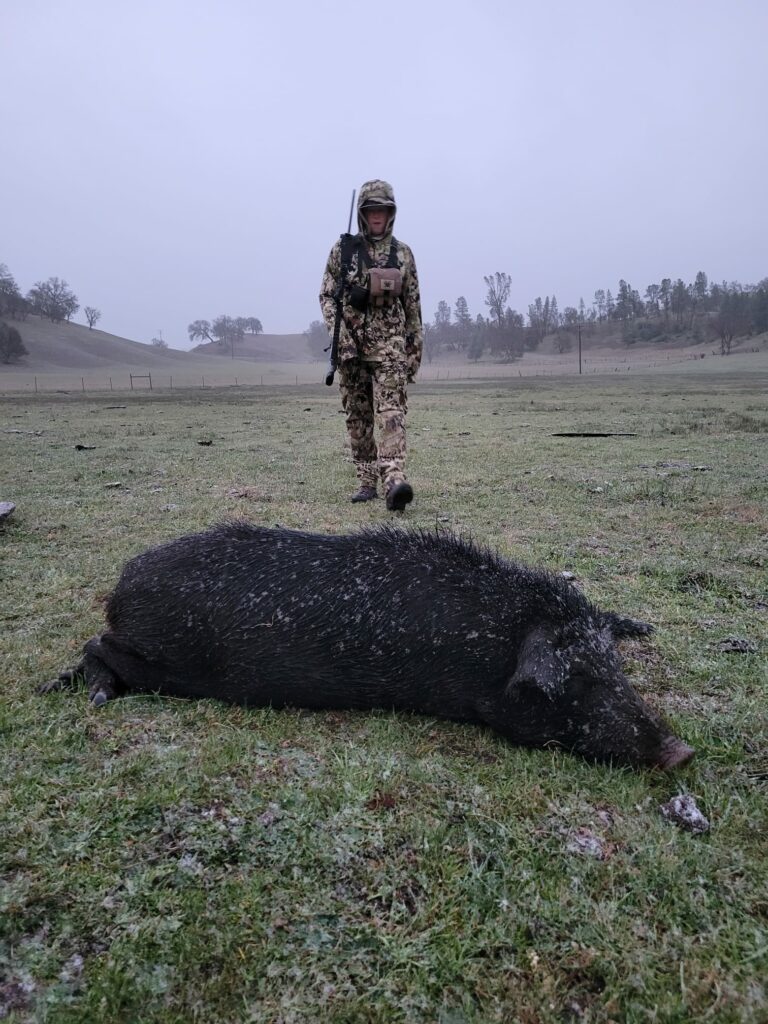 california hog hunting outfitters