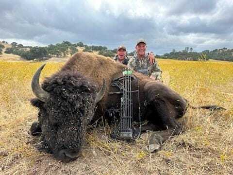 Bison Hunting In California