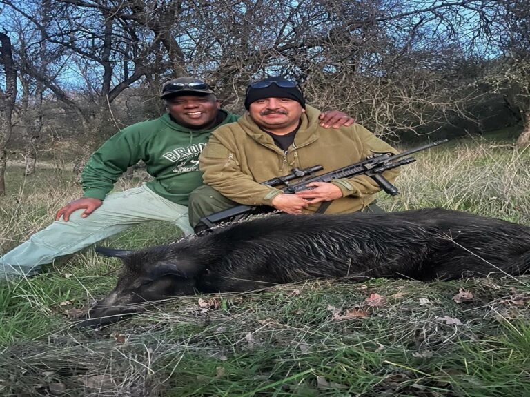 california hog hunting