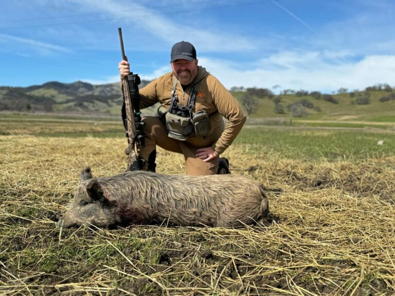 california hog hunting