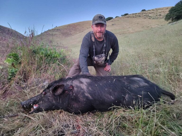 California Hog Hunting