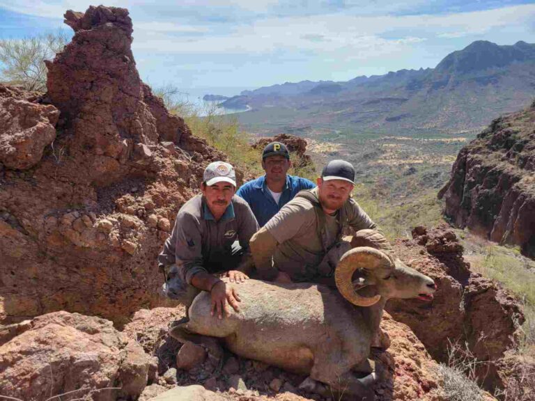 South Baja Big Horn Sheep Hunting in Mexico