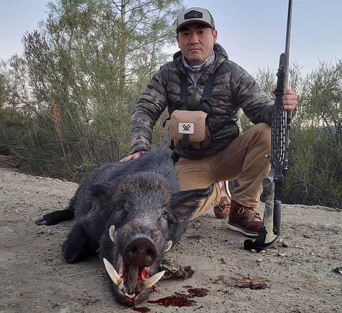 California Wild pig hunting