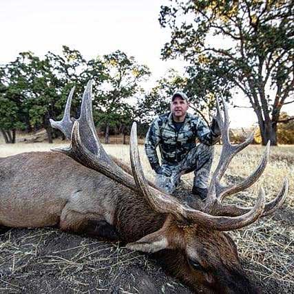 Tule Elk Hunting in California