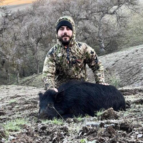 Hog hunting california