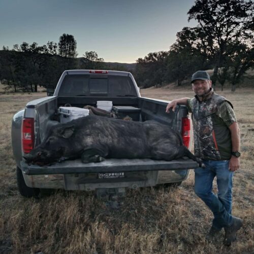 california hog hunting outfitters