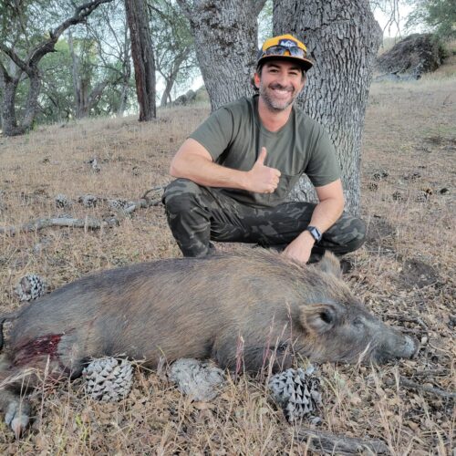 california hog hunting outfitters