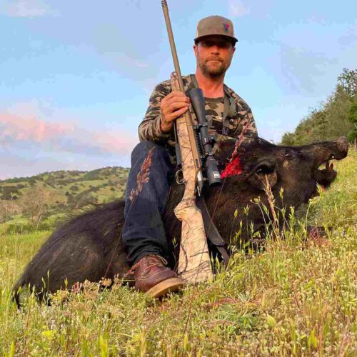 California hog hunting