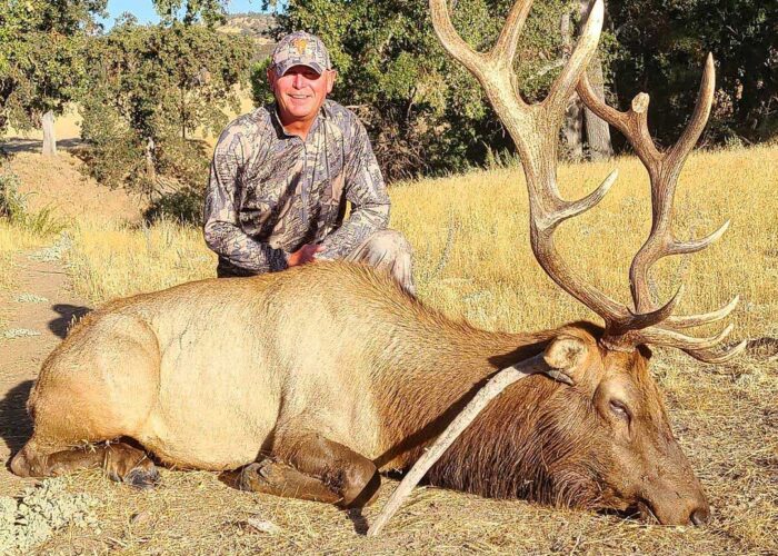 California Tule Elk Hunts