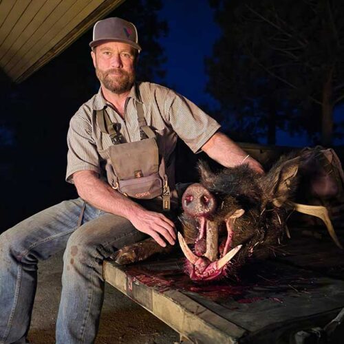 California hog hunting outfitter